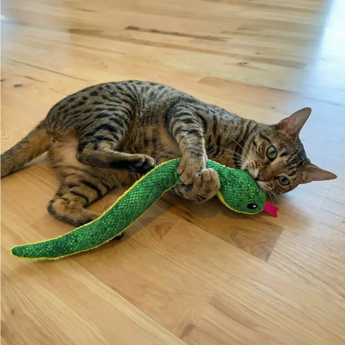 Catstages Snake Kicker Cat Toys [Description and Overview Awaken your cat's inner hunter with the, Product Brand & Name Catstages Kicker Constrictor Cat Toy wit, Features Prey-Insp