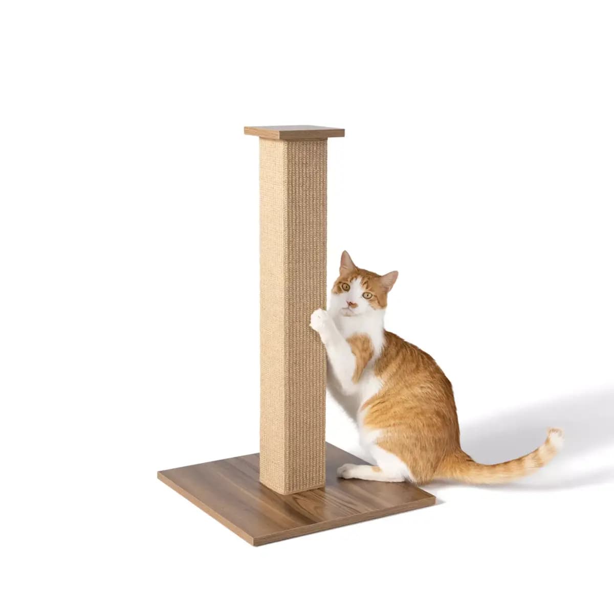 Whisker City® 28-in Tan Brown Sisal Cat Scratching Post [Includes 1 Scratching Post, Intended Pet(s) Cats, Material(s) Sisal, Wood, Color White]