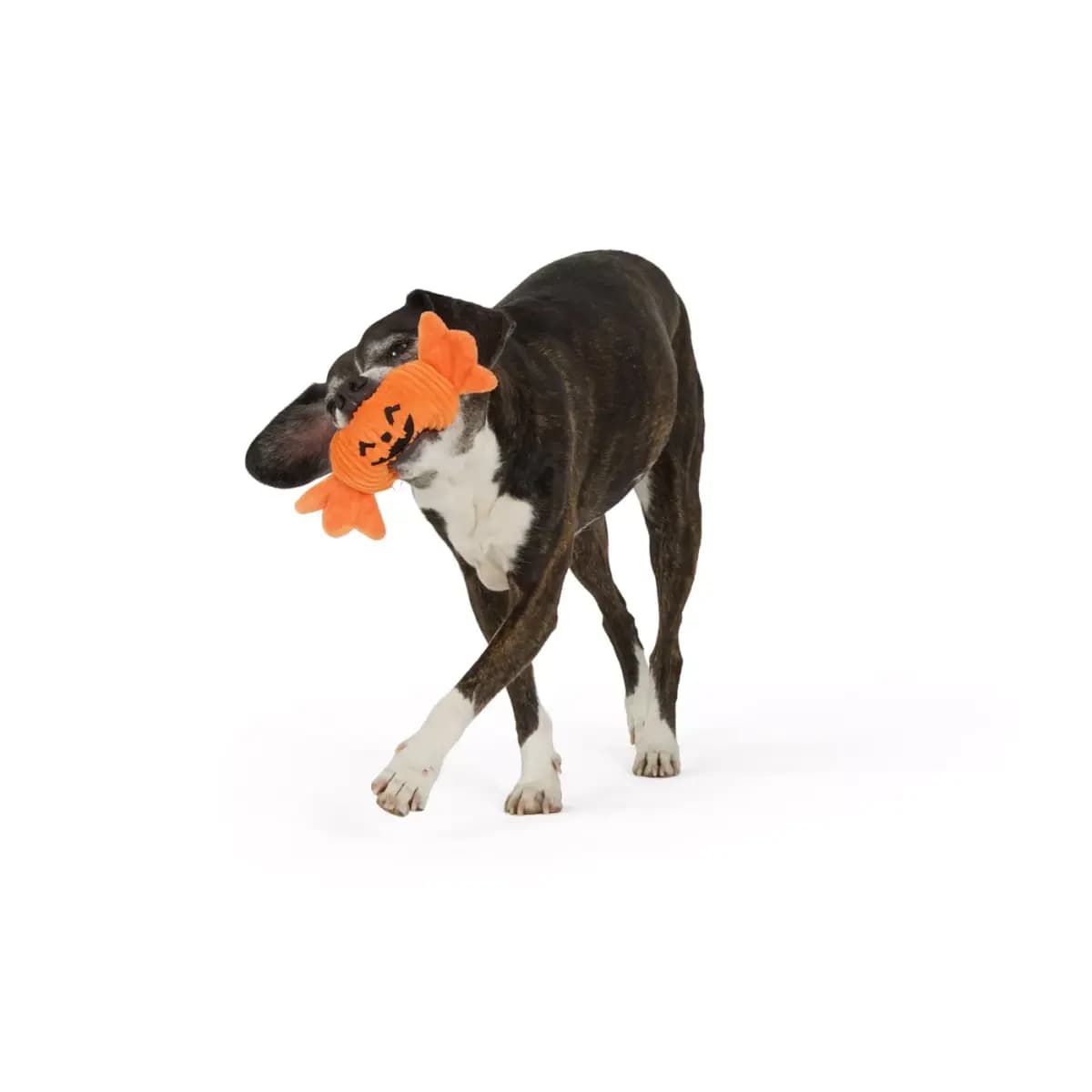 Thrills & Chills™ Halloween Plush Pumpkin Candy Dog Toy [Brand Thrills & Chills®, Includes 1 Plush Toy, Intended For Dogs, Activity Fetch, Play, Noisemaking]