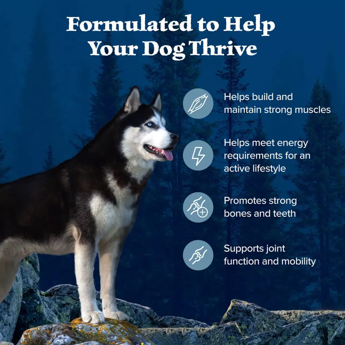 Blue Buffalo Wilderness High Protein, Chicken with Wholesome Grains Adult Dry Dog Food [Brand Blue Buffalo, Food Type Kibble, Breed Size All, Life Stage Adult]