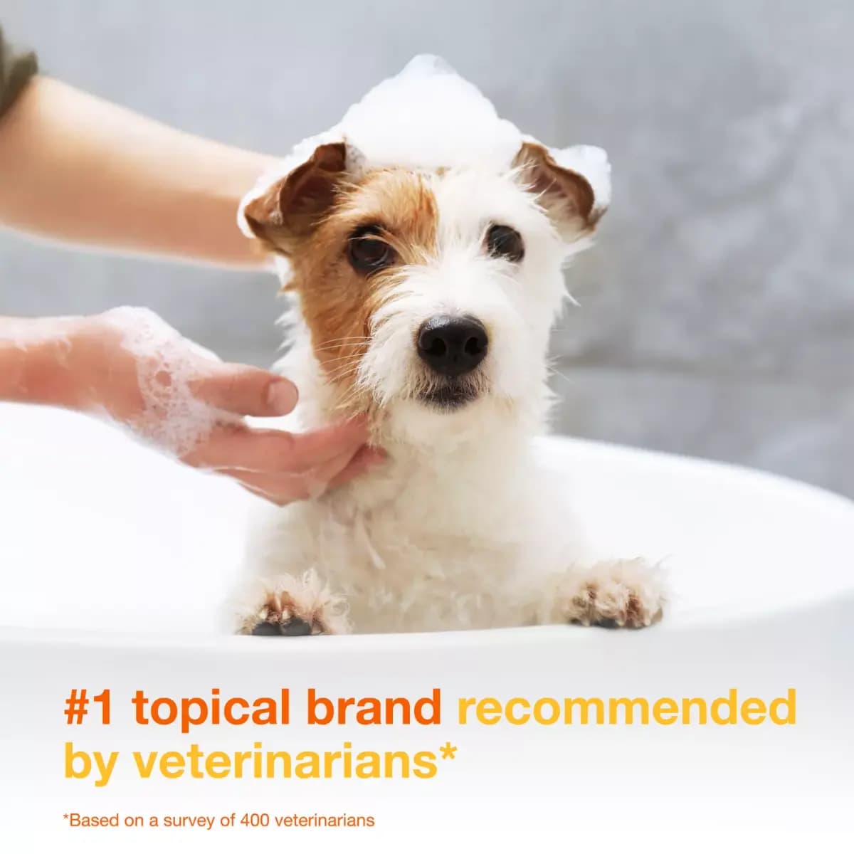 Douxo® S3 PYO Chlorhexidine Antiseptic Antifungal Dog Shampoo - 6.7 oz [Product Brand & Name Douxo S3 PYO Antiseptic Antifungal Chlor, Features Antifungal, Includes (1) 6.7 oz bott