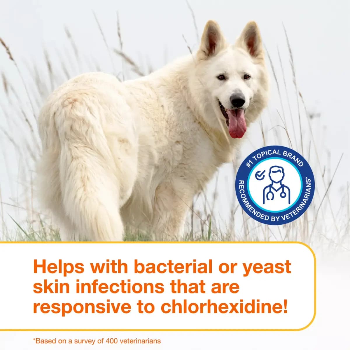 Douxo® S3 PYO Chlorhexidine Antiseptic Antifungal Dog Shampoo - 6.7 oz [Product Brand & Name Douxo S3 PYO Antiseptic Antifungal Chlor, Features Antifungal, Includes (1) 6.7 oz bott