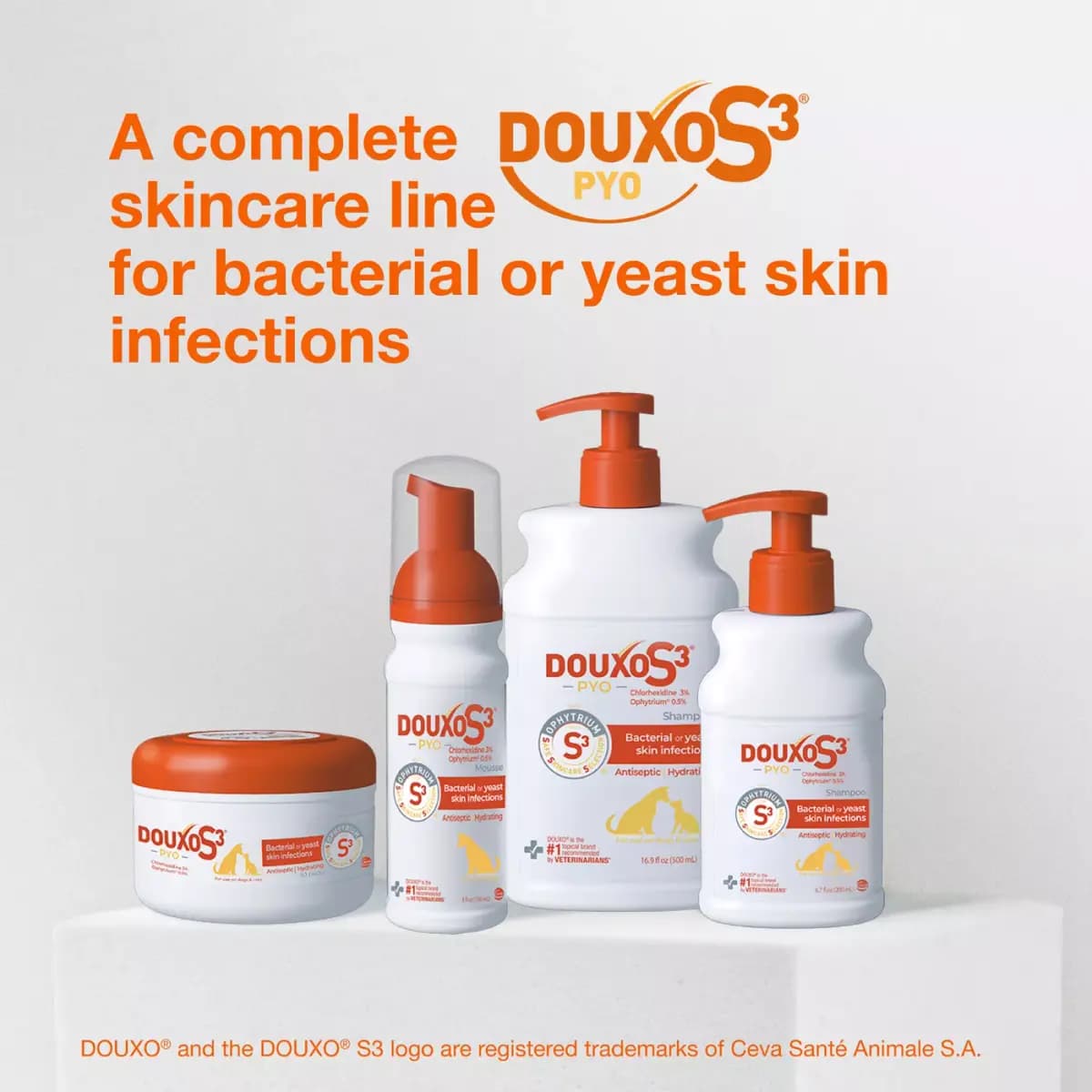 Douxo® S3 PYO Chlorhexidine Antiseptic Antifungal Dog Shampoo - 6.7 oz [Product Brand & Name Douxo S3 PYO Antiseptic Antifungal Chlor, Features Antifungal, Includes (1) 6.7 oz bott