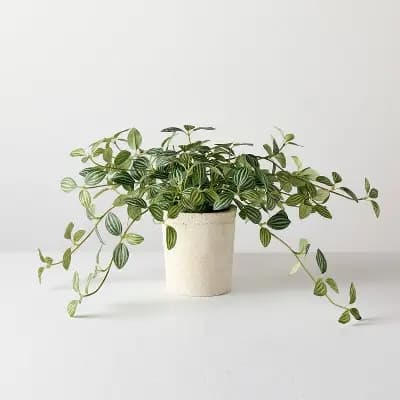 Hearth & Hand with Magnolia 10" Small Trailing Peperomia Artificial Plant - Hearth & Hand™ with Magnolia [1.73 Pounds, Plastic, Tabletop]