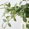 Hearth & Hand with Magnolia 10" Small Trailing Peperomia Artificial Plant - Hearth & Hand™ with Magnolia [1.73 Pounds, Plastic, Tabletop]