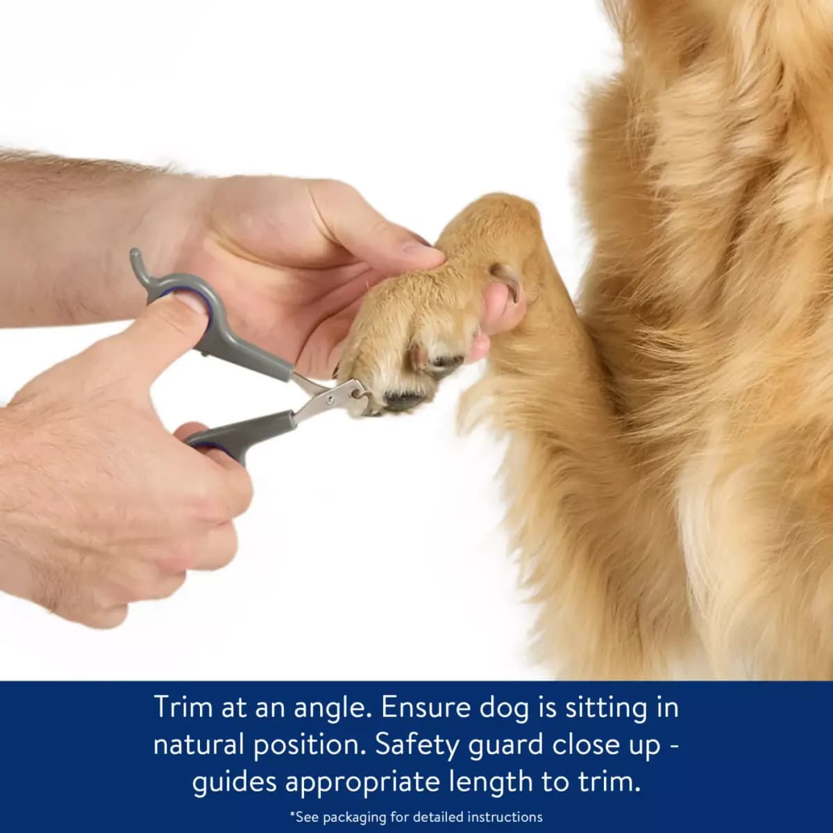 Top Paw® X-Small Pet Nail Clipper, for Small Pet [Brand Top Paw, Includes 1 Clipper, Intended Pet(s) X-Small - Small Dogs, Color Blue, Grey, Silver]