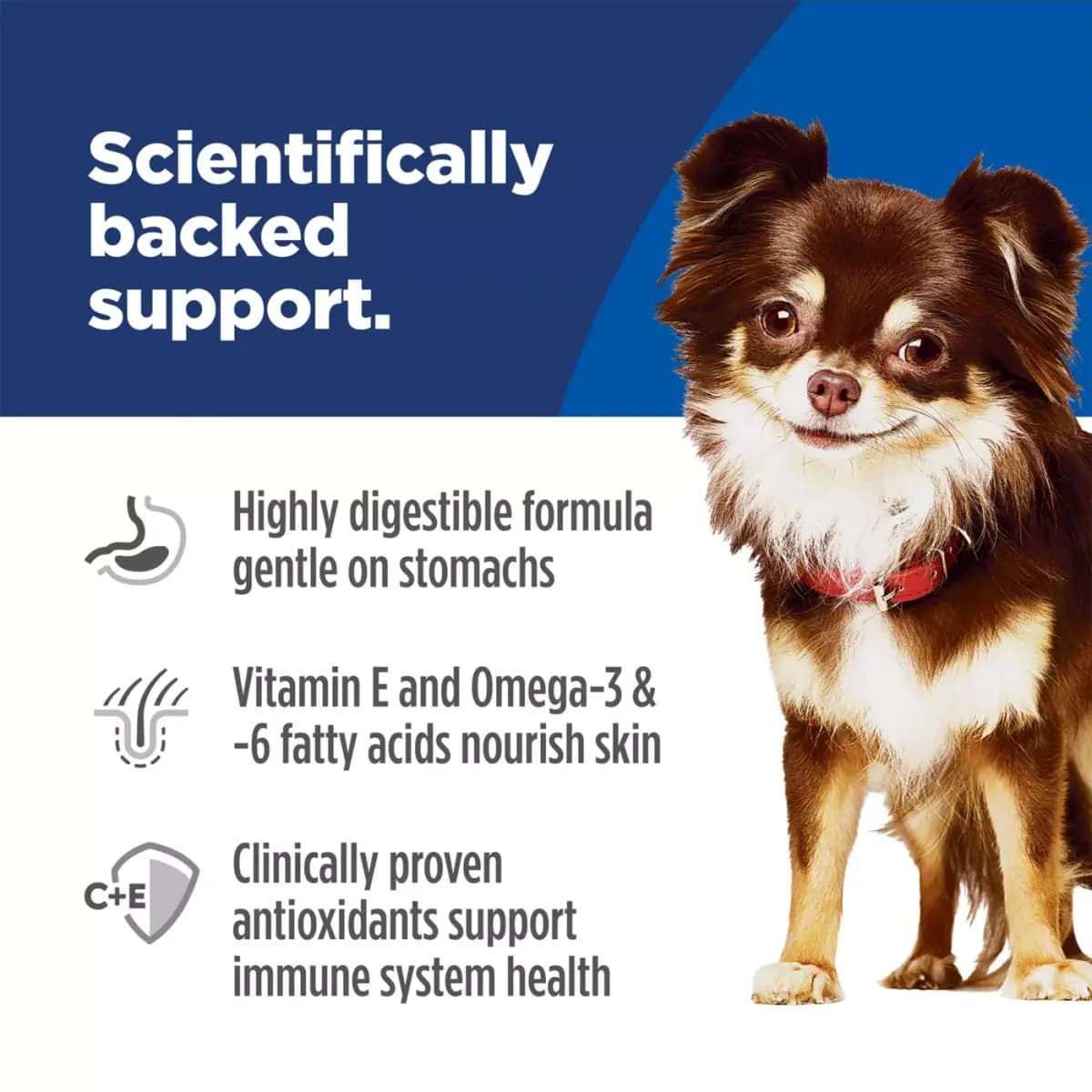Hill's® Science Diet® Sensitive Stomach & Skin Small & Mini Adult Dog Dry Food - Chicken & Rice [Species Canine, Brand Science Diet, Food Type Small kibble, Breed Size Canine|Adult
