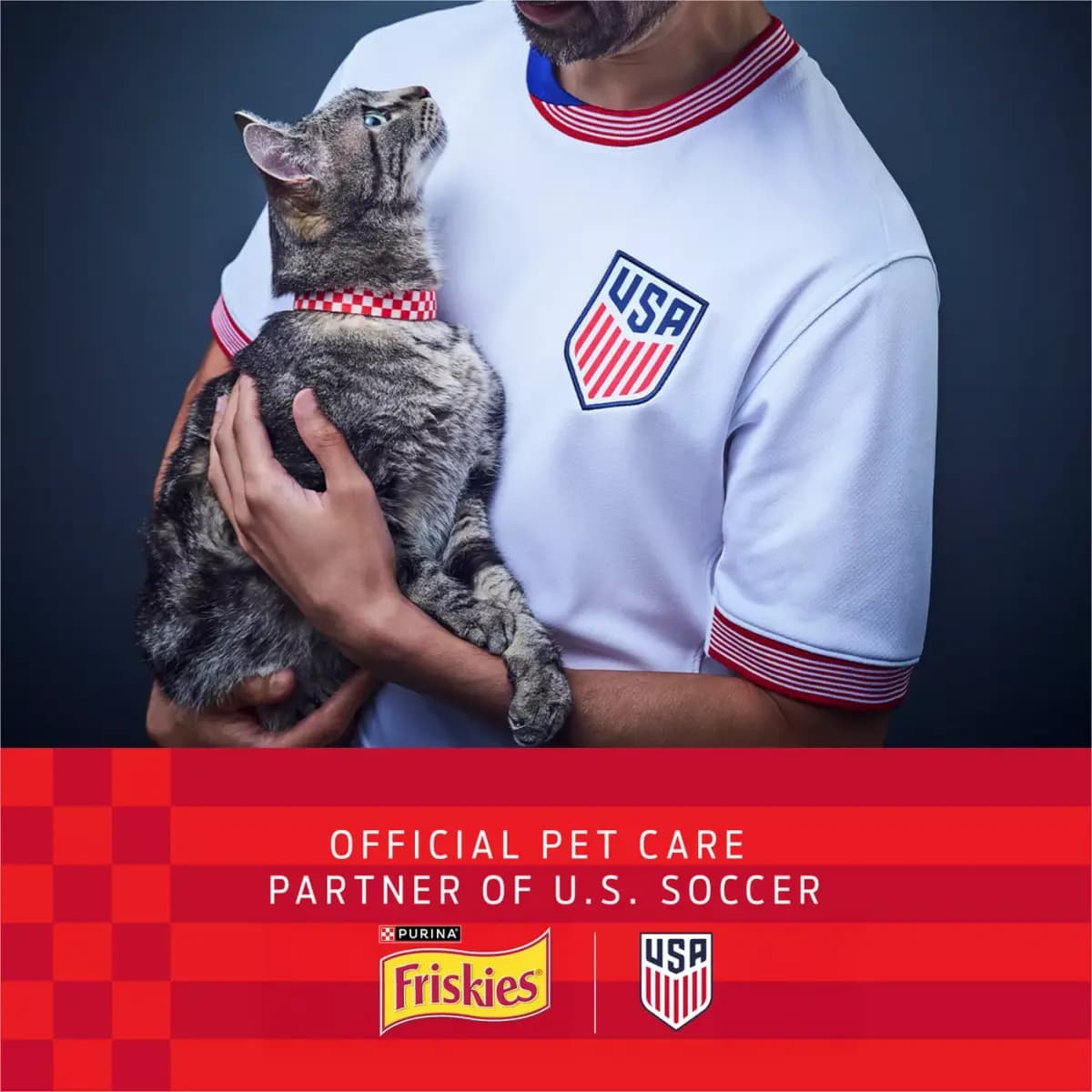 Friskies Pate Friskies® Poultry Pate Adult Cat Wet Food - Variety Pack, 5.5 Oz, 32 Count [Features & Benefits Four delicious Friskies cat food flavors, Item Number 5237486, Brand F