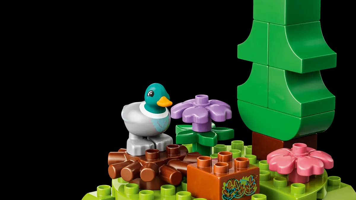 LEGO Discovery Forest with Wild Animals 10480 [131 pieces, ages 3+, DUPLO®]