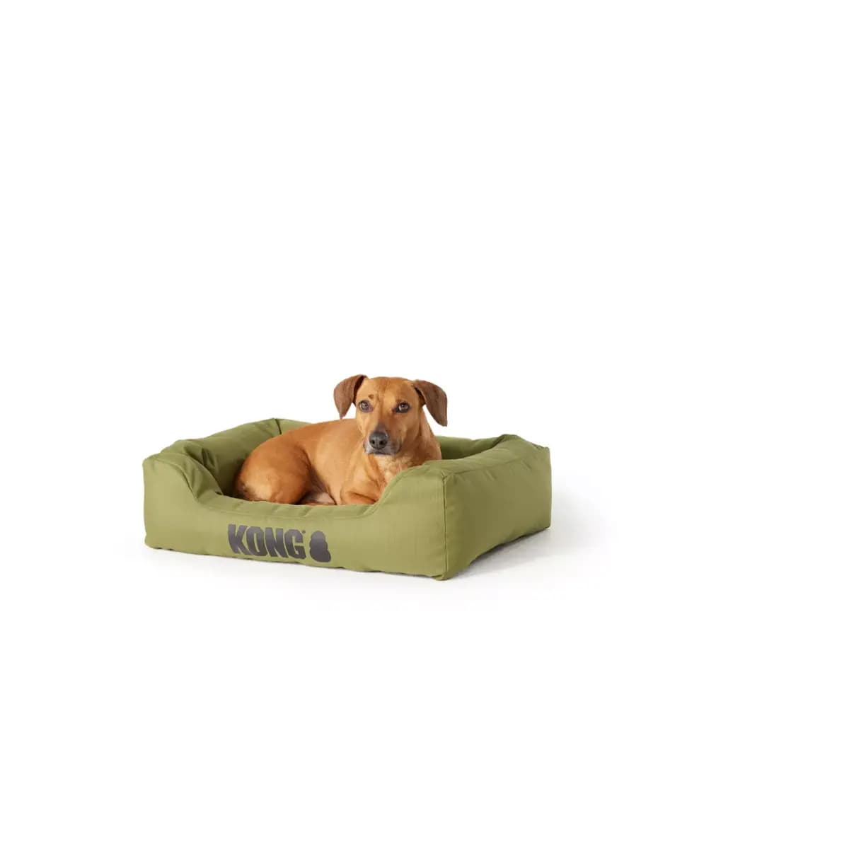 KONG® 4-Sided Durable Cuddler Medium Dog Bed, Water-Resistant, Multiple Colors, 28L x 22W [Includes 1 Cuddler Bed, Color Olive, Environment Indoors, Dimensions 28 in L x 22 in W x