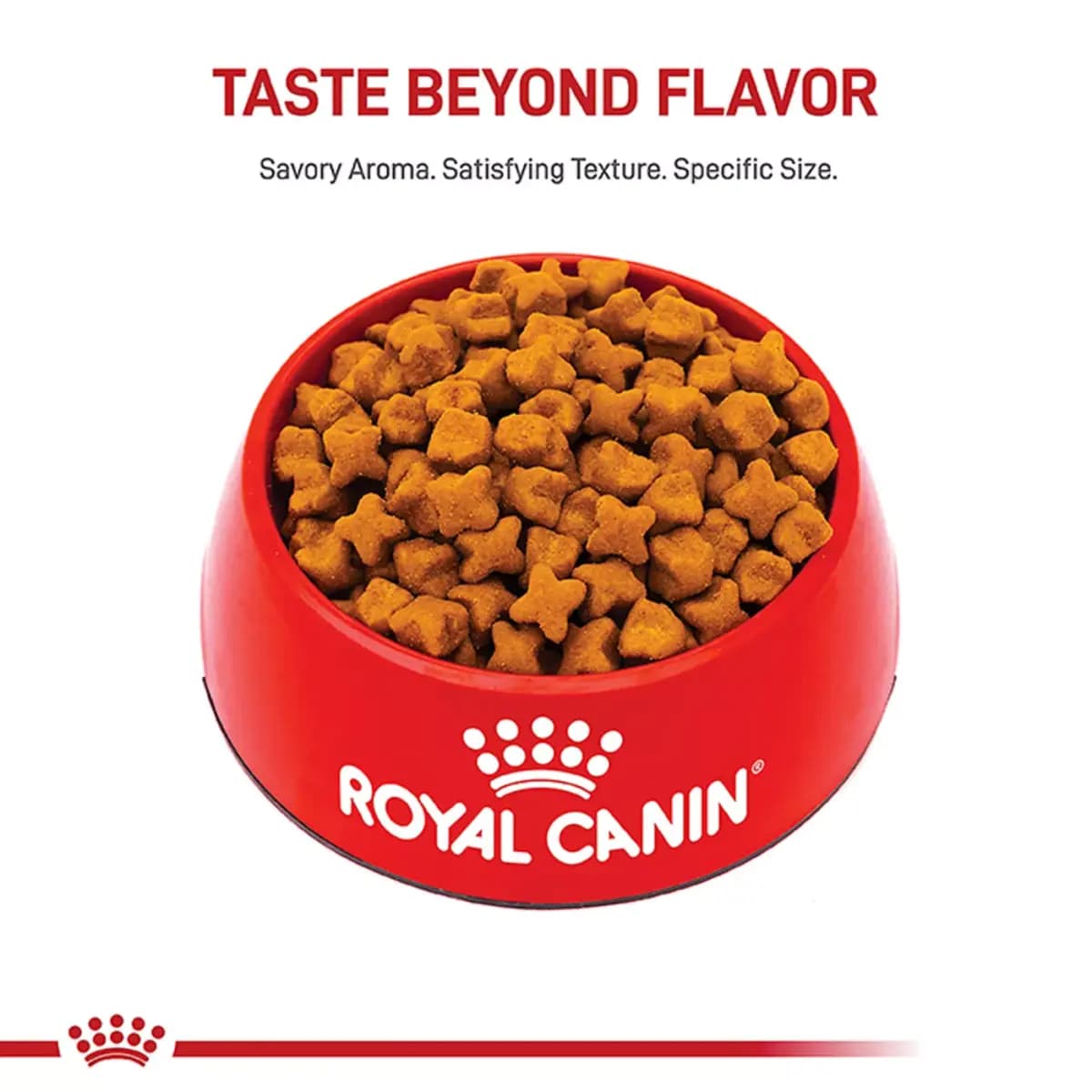 Royal Canin Breed Health Nutrition German Shepherd Adult Dry Dog Food [Species Dog, Brand ROYAL CANIN®BREED HEALTH NUTRITION®, Food Type Kibble, Breed Size LARGE]
