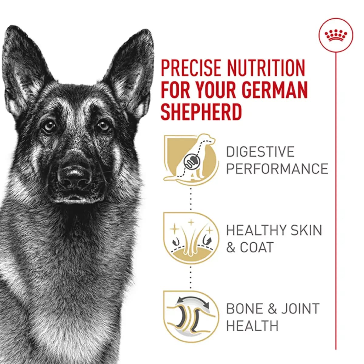 Royal Canin Breed Health Nutrition German Shepherd Adult Dry Dog Food [Species Dog, Brand ROYAL CANIN®BREED HEALTH NUTRITION®, Food Type Kibble, Breed Size LARGE]