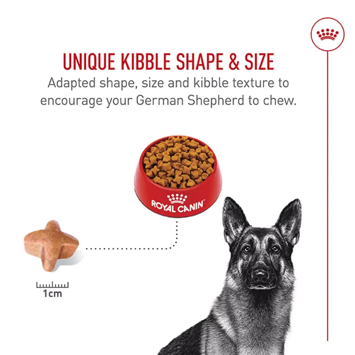 Royal Canin Breed Health Nutrition German Shepherd Adult Dry Dog Food [Species Dog, Brand ROYAL CANIN®BREED HEALTH NUTRITION®, Food Type Kibble, Breed Size LARGE]