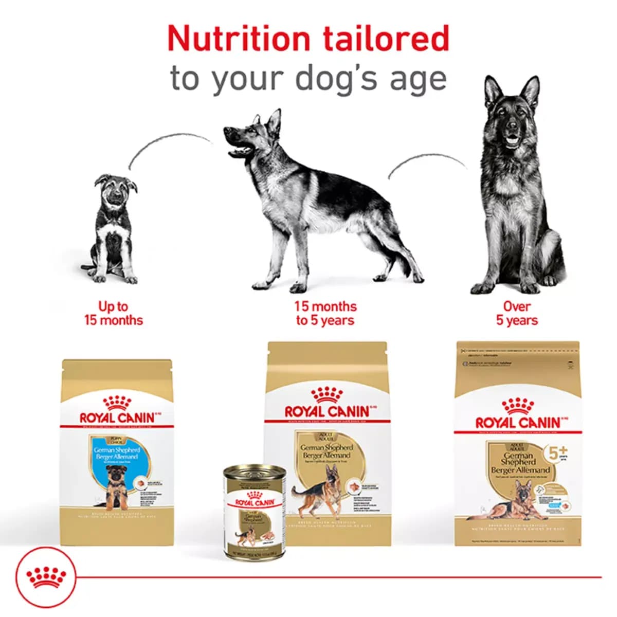 Royal Canin Breed Health Nutrition German Shepherd Adult Dry Dog Food [Species Dog, Brand ROYAL CANIN®BREED HEALTH NUTRITION®, Food Type Kibble, Breed Size LARGE]