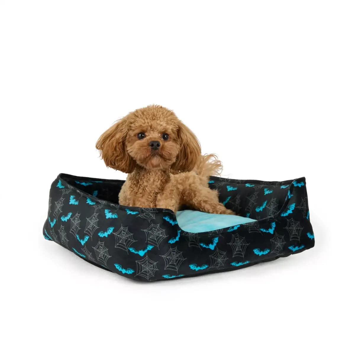 Thrills & Chills® Halloween Bats Cuddler Dog Bed, ONESIZE 18 IN L X 20 IN W [Brand Thrills & Chills®, Includes 1 Bed, Color Black, Blue & Grey, Dimensions 18 IN L X 20 IN W X 6.5 I