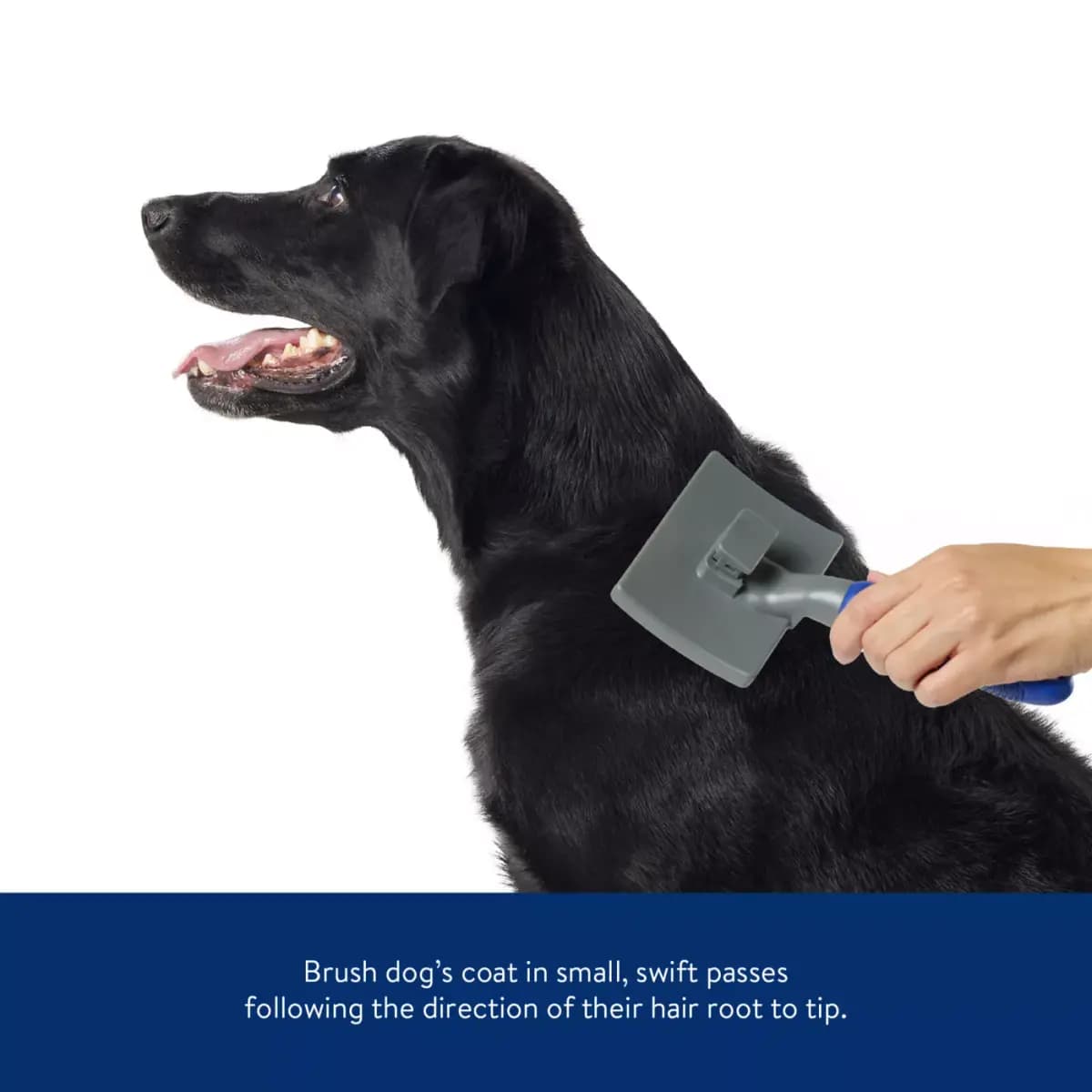 Top Paw® Self-Cleaning Metal Bristle Slicker Grooming Pet Brush [Brand Top Paw, Includes 1 Brush, Intended Pet(s) Dogs, Color Blue, Grey]