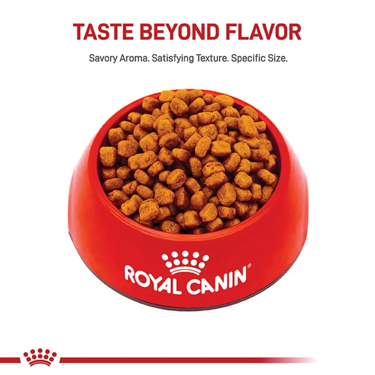 Royal Canin Adult Dry Dog Food - Yorkshire Terrier Breed Health Nutrition [Brand Royal Canin, Food Type Kibble, Breed Size X-SMALL, Life Stage Adult]