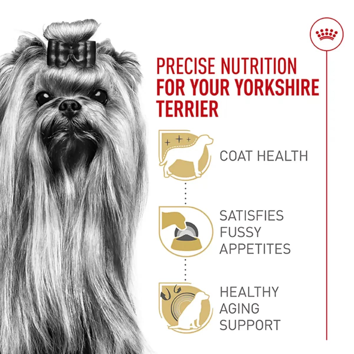 Royal Canin Adult Dry Dog Food - Yorkshire Terrier Breed Health Nutrition [Brand Royal Canin, Food Type Kibble, Breed Size X-SMALL, Life Stage Adult]