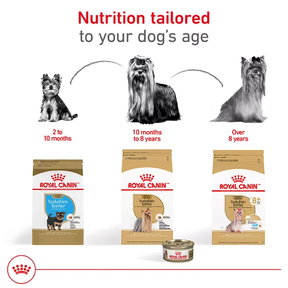 Royal Canin Adult Dry Dog Food - Yorkshire Terrier Breed Health Nutrition [Brand Royal Canin, Food Type Kibble, Breed Size X-SMALL, Life Stage Adult]