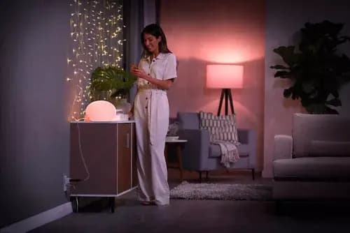 Philips Hue Smart plug [046677552343, White, Synthetic]