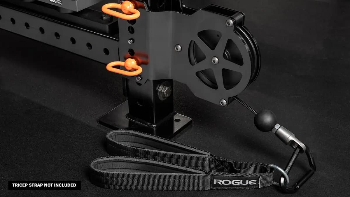 Rogue Fitness Monster Lite Slinger Solo Pulley Attachment [Black, Yes, 16LB]