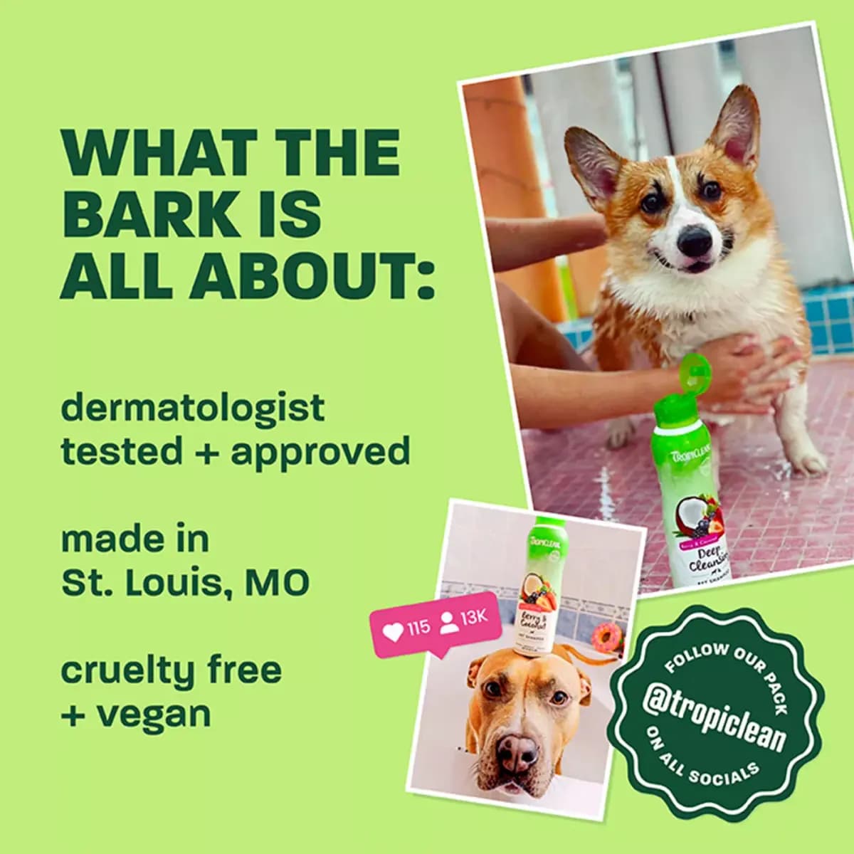TropiClean® Odor Control Dog Shampoo, 3x Longer Lasting Scent - Raspberry & Lime 20 oz [Description and Overview TROPICLEAN ODOR CONTROL SHAMPOO helps re, Product Brand & Name Trop
