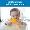 Dr. Brown's Milestones 9 fl oz Baby's First Straw Cup - Yellow [Dimensions (Overall) 7 Inches (H) x 5.3 Inches (W), Finish No Surface Treatment, Lid Material Plastic, Features Dini