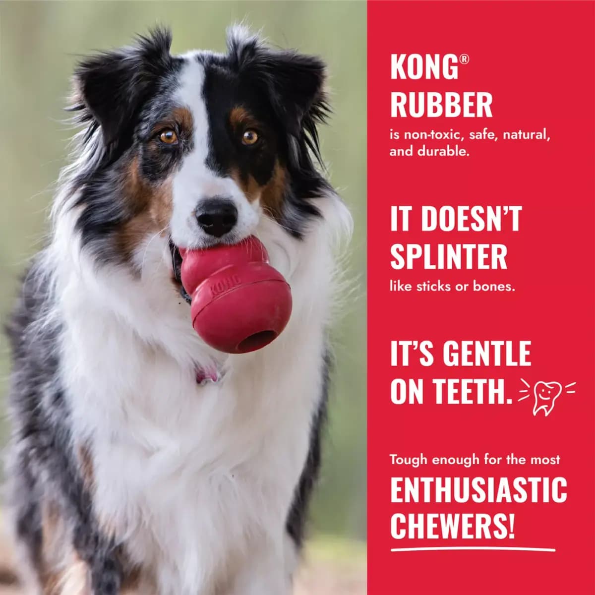 KONG® Rubber Ring Dog Toy [Description and Overview The KONG® Ring is designed for long last, Product Brand & Name KONG® Ring Md/Lg, Features â¢Enriching, durable toy supports app