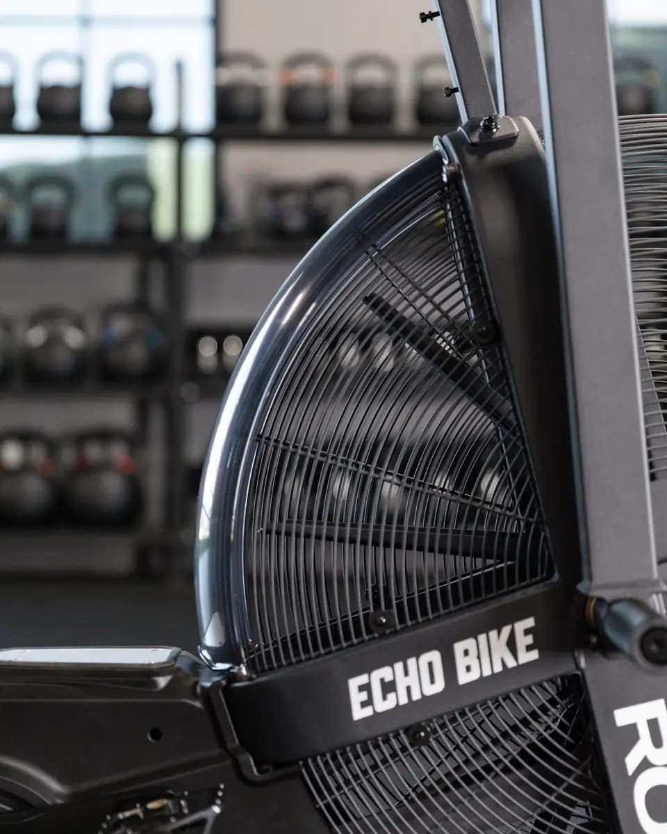 Rogue Fitness Rogue ECHO Bike Wind Guard - 75 Degrees - V2 [Transparent Grey, No, 18.75Ã¢â‚¬Â]