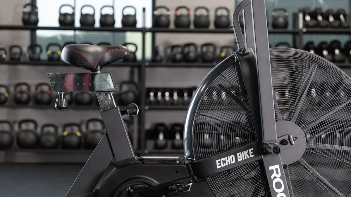 Rogue Fitness Rogue ECHO Bike Wind Guard - 75 Degrees - V2 [Transparent Grey, No, 18.75Ã¢â‚¬Â]