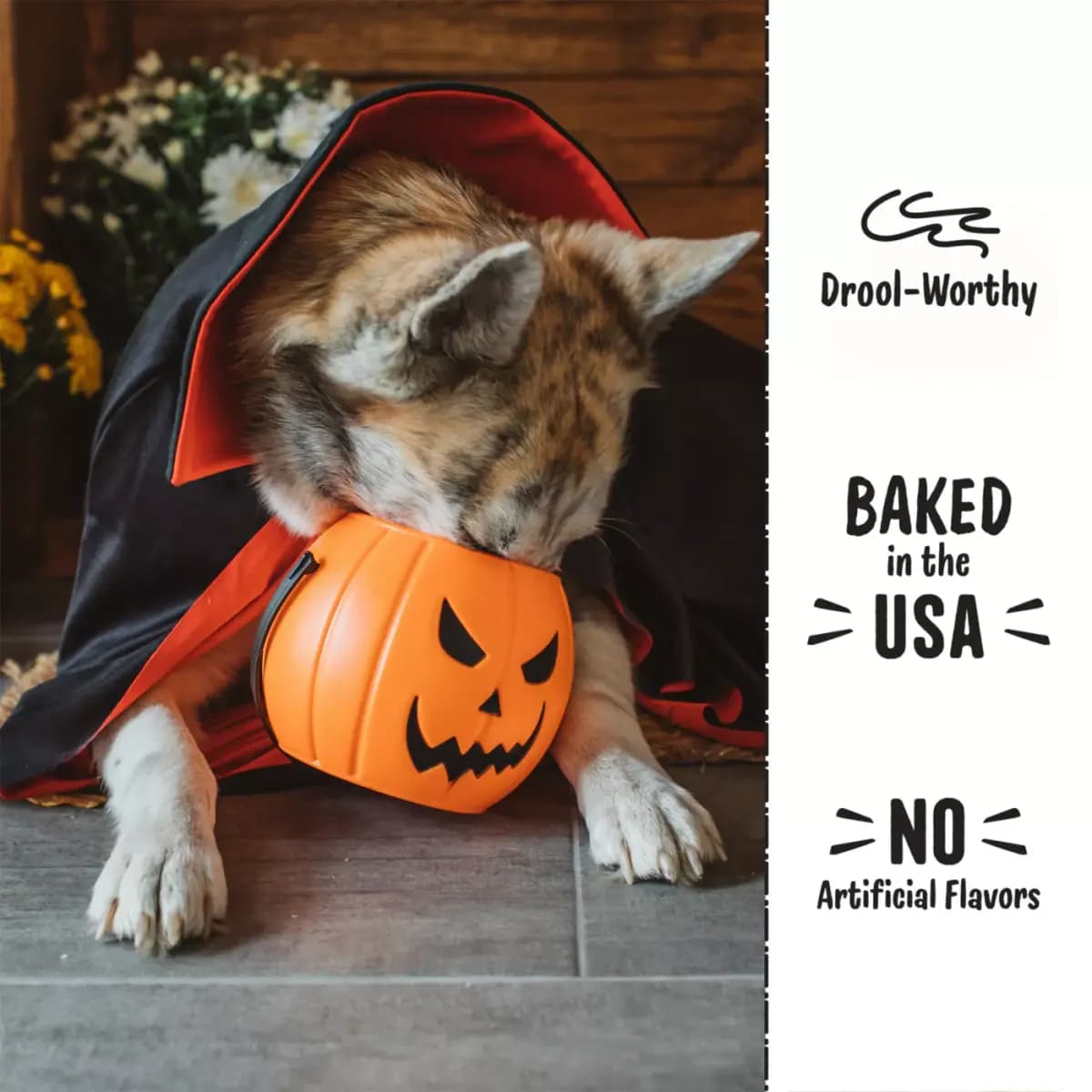 Three Dog Bakery Howl-o-ween Lick'n Crunch Sandwich Cookie Dog Treats - Carob & Pumpkin Spice Flavor [Species Dog, Brand Three Dog Bakery, Food Type Cookie, Breed Size All]