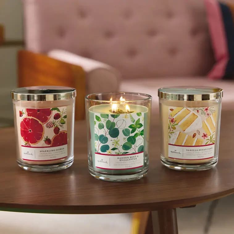 Sparkling Citrus 3-Wick Jar Candle, 16 oz. [Dimensions 3.7" dia. x 5" H, Material Glass, metal and wax., Count 1, Scent Orange peel and grapefruit.]