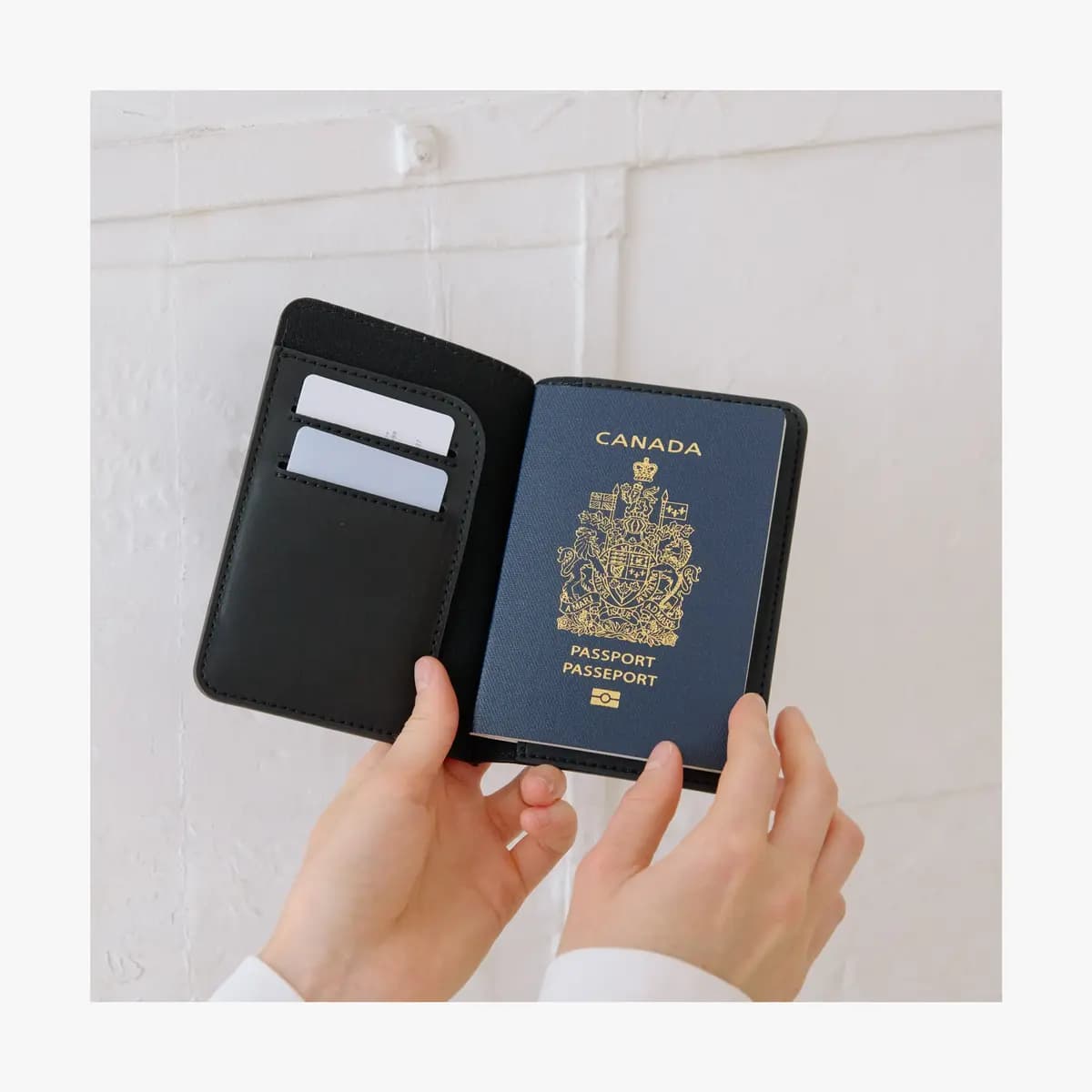 Monos Passport Cover Carbon Black [Lined with colour-matched cotton twill fabric, 0.15 lb / 0.06 kg, Height]