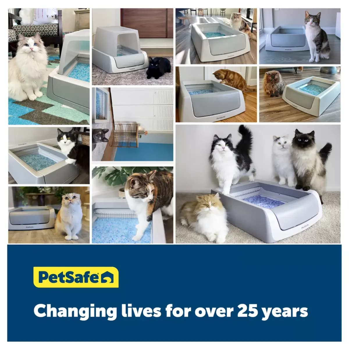 PetSafe® ScoopFree® Crystal Litter Disposable Refill Tray Leak Proof Fresh Scent - 1 Pack [Material Dust-free, low-tracking crystal litter w, Environment Type Indoors, Species Cat,