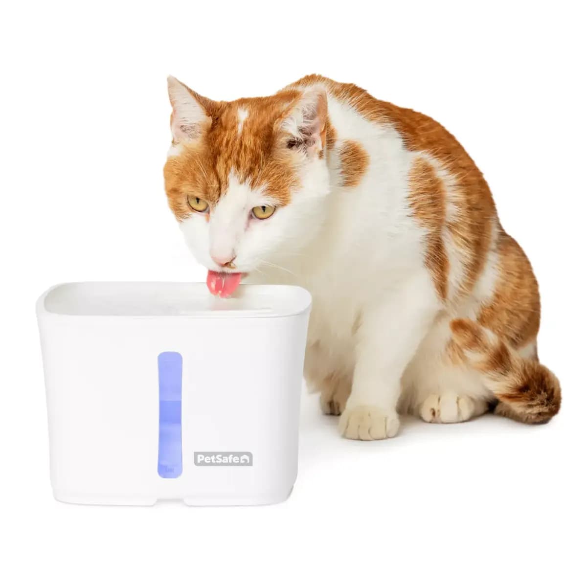 PetSafe® Viva Pet Water Fountain - 1.8L/64 oz - Filters Included [Intended Pet(s) Dog, Cat, Material(s) Plastic, Color White, Product Dimensions 6.5 in x 7.1 in x 5 in]
