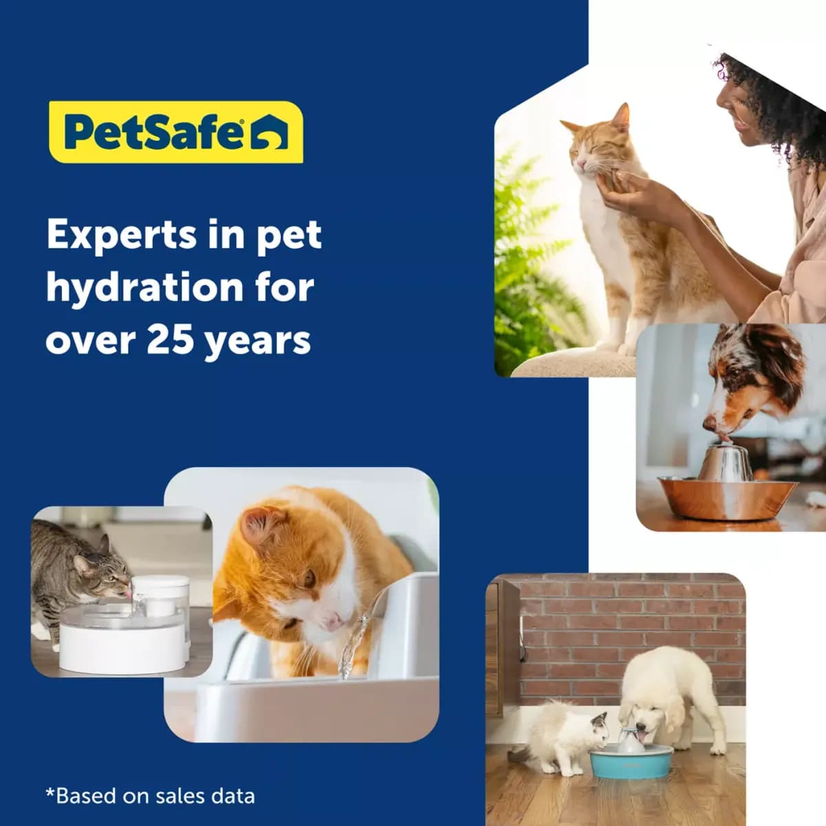 PetSafe® Viva Pet Water Fountain - 1.8L/64 oz - Filters Included [Intended Pet(s) Dog, Cat, Material(s) Plastic, Color White, Product Dimensions 6.5 in x 7.1 in x 5 in]