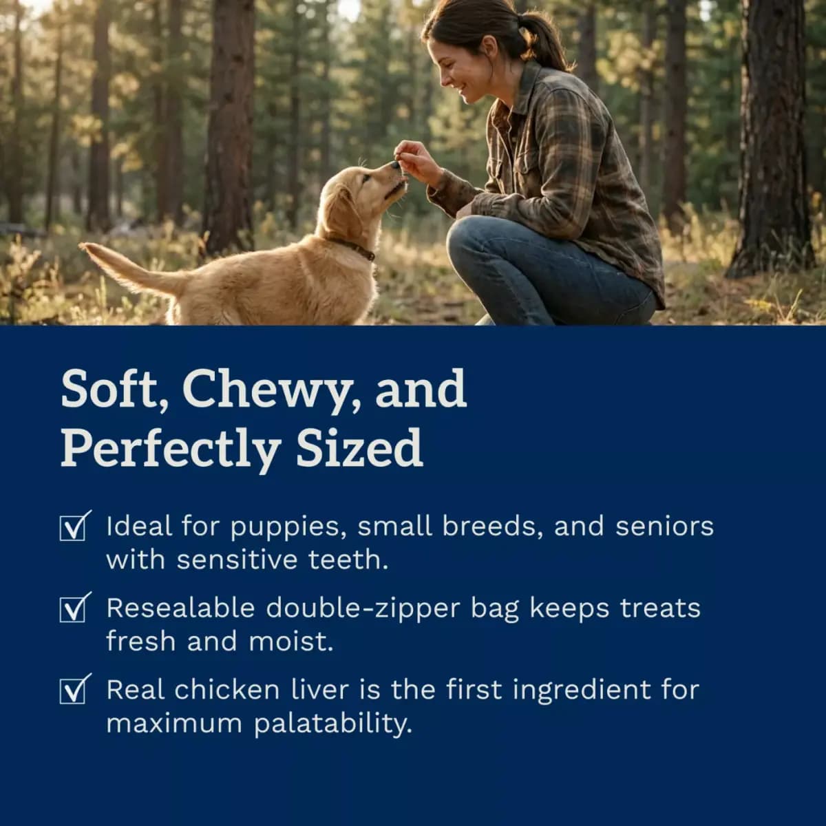 Bil-Jac® Little-Jacs All Life Stages Training Dog Treat - Chicken Liver [Brand Bil-Jac, Food Type Soft and Chewy Treat, Breed Size All, Life Stage All]