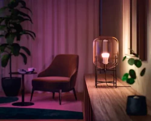 Philips Hue Starter kit: 2 E26 smart bulbs (60 W) [046677562915, 62x112, White]