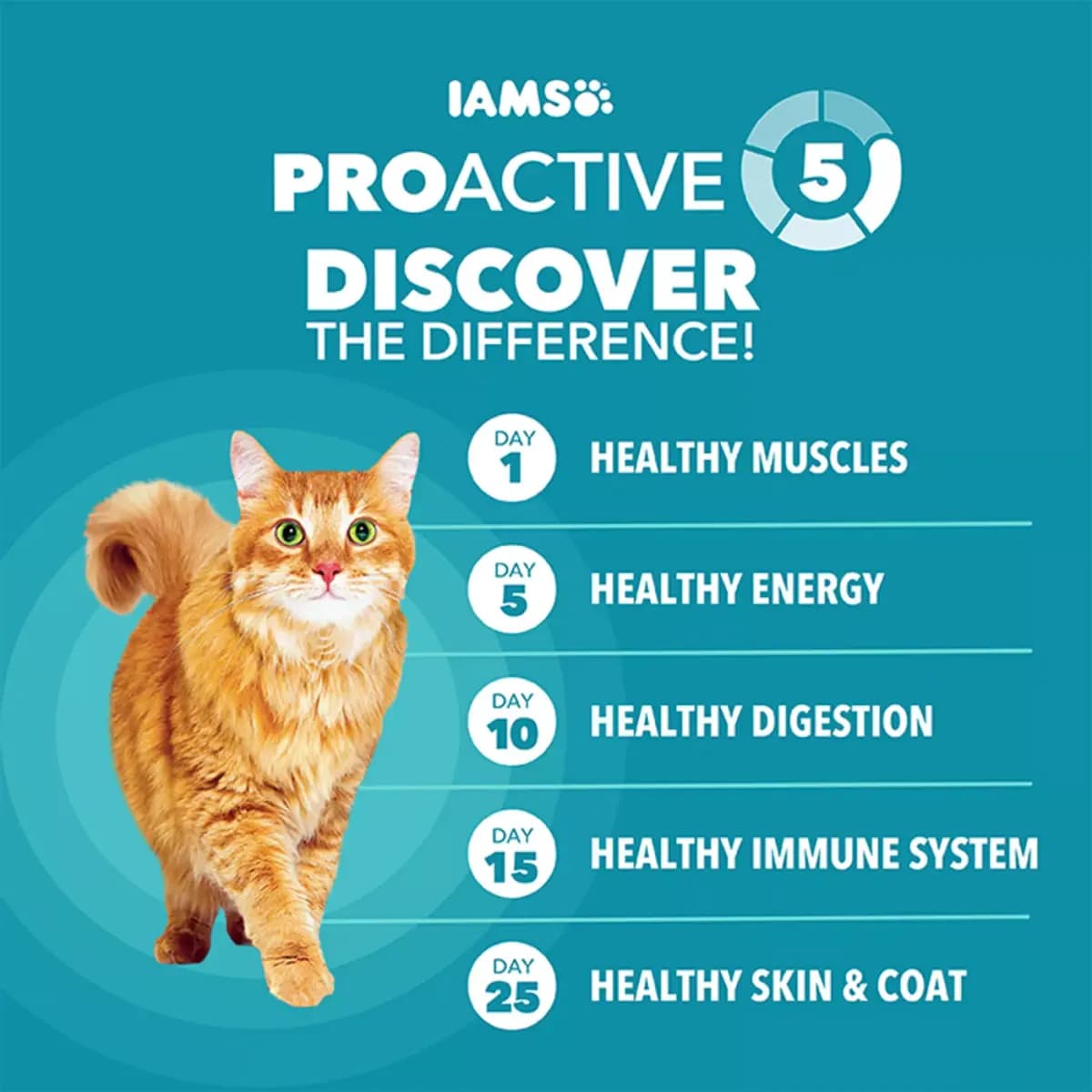 IAMS™ Proactive Health Indoor Adult Dry Cat Food - Weight & Hairball Care, Chicken [Species Cat, Brand IAMS, Food Type Dry, Breed Size All]