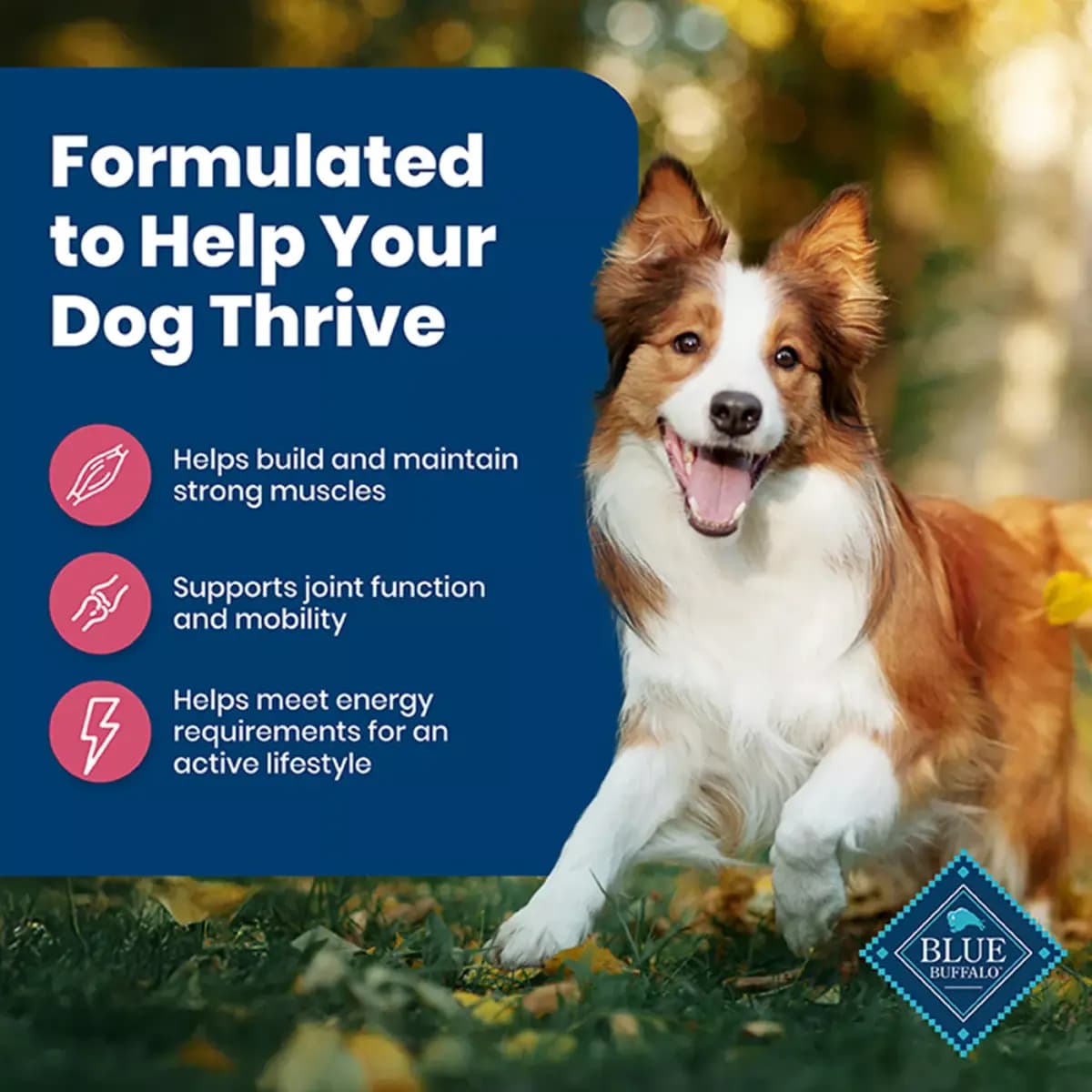 Blue Buffalo Life Protection Formula Salmon Adult Dry Dog Food, Chicken Free [Species Dog, Brand Blue Buffalo, Food Type Kibble, Breed Size All, Small, Medium, Large]