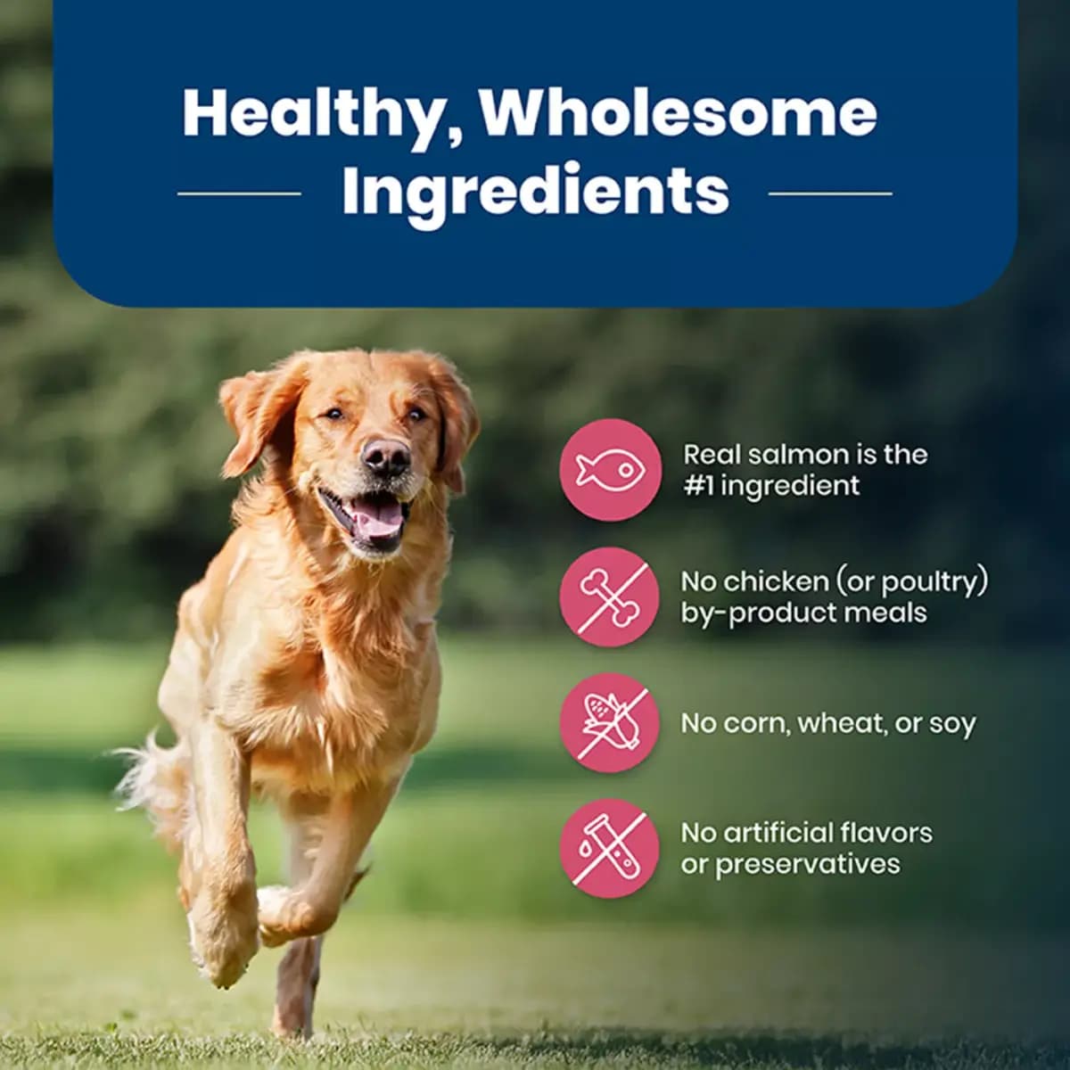 Blue Buffalo Life Protection Formula Salmon Adult Dry Dog Food, Chicken Free [Species Dog, Brand Blue Buffalo, Food Type Kibble, Breed Size All, Small, Medium, Large]
