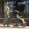 Britax Juniper Compact Stroller, Lightweight Fold-and-Go Design - Raven Black: Adjustable Harness, Canopy, Safety Lock, Forward Facing Seat [Dimensions (Overall) 43.5 Inches (H) x 