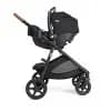 Joie Ginger and Rue Travel System - Shale Dark [Dimensions (Overall) 48.5 Inches (H) x 24.5 Inches (W) x 38 I, Weight 22 Pounds, Dimensions (Collapsed) 31 Inches (H) x 24.5 Inches 