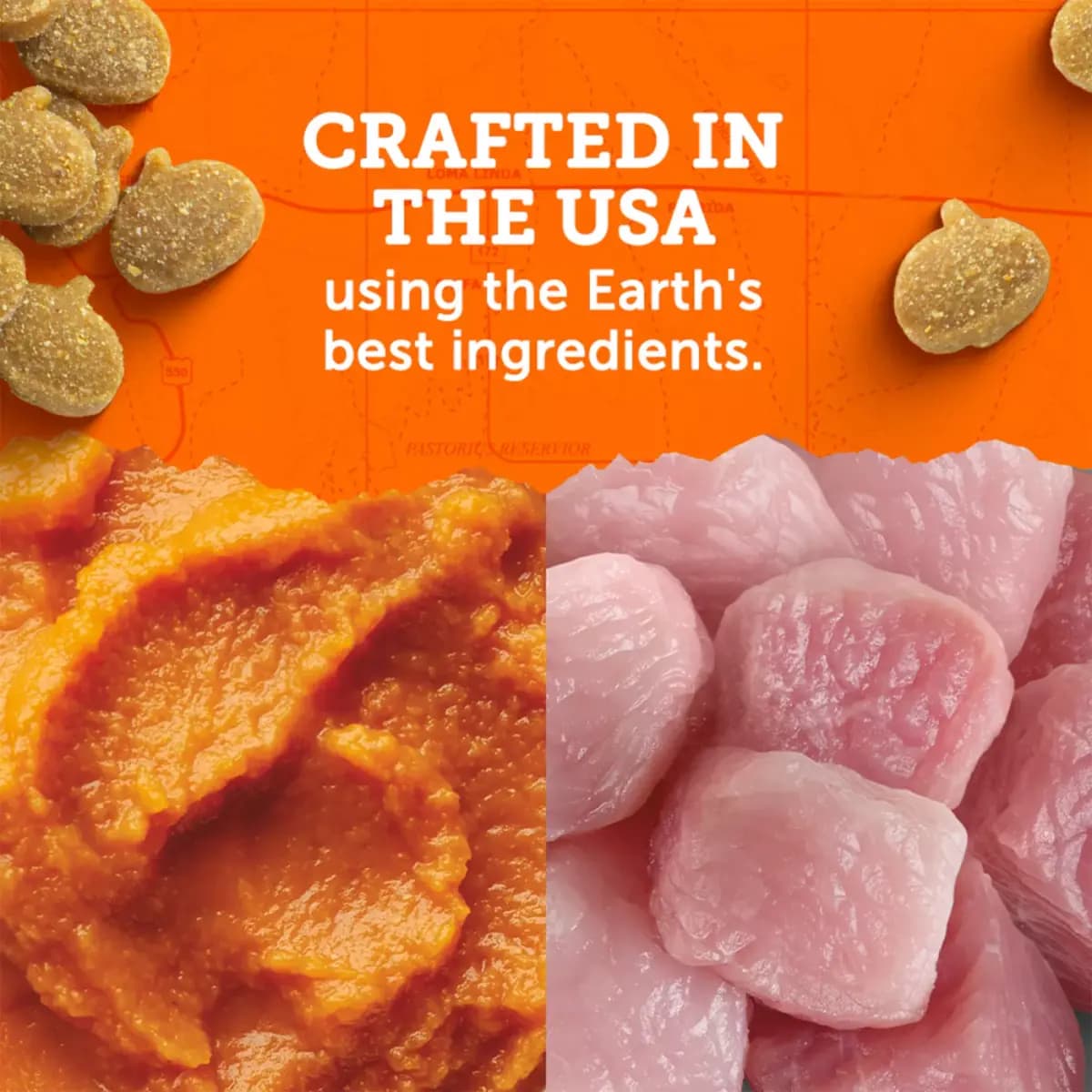 Zuke's Mini Naturals With Added Vitamins & Minerals Dog Treats - Turkey & Pumpkin Flavor 5 OZ [Species Dog, Brand Zukes Mini Naturals, Food Type Bites, Bits, Semi-Moist, Soft, Tend