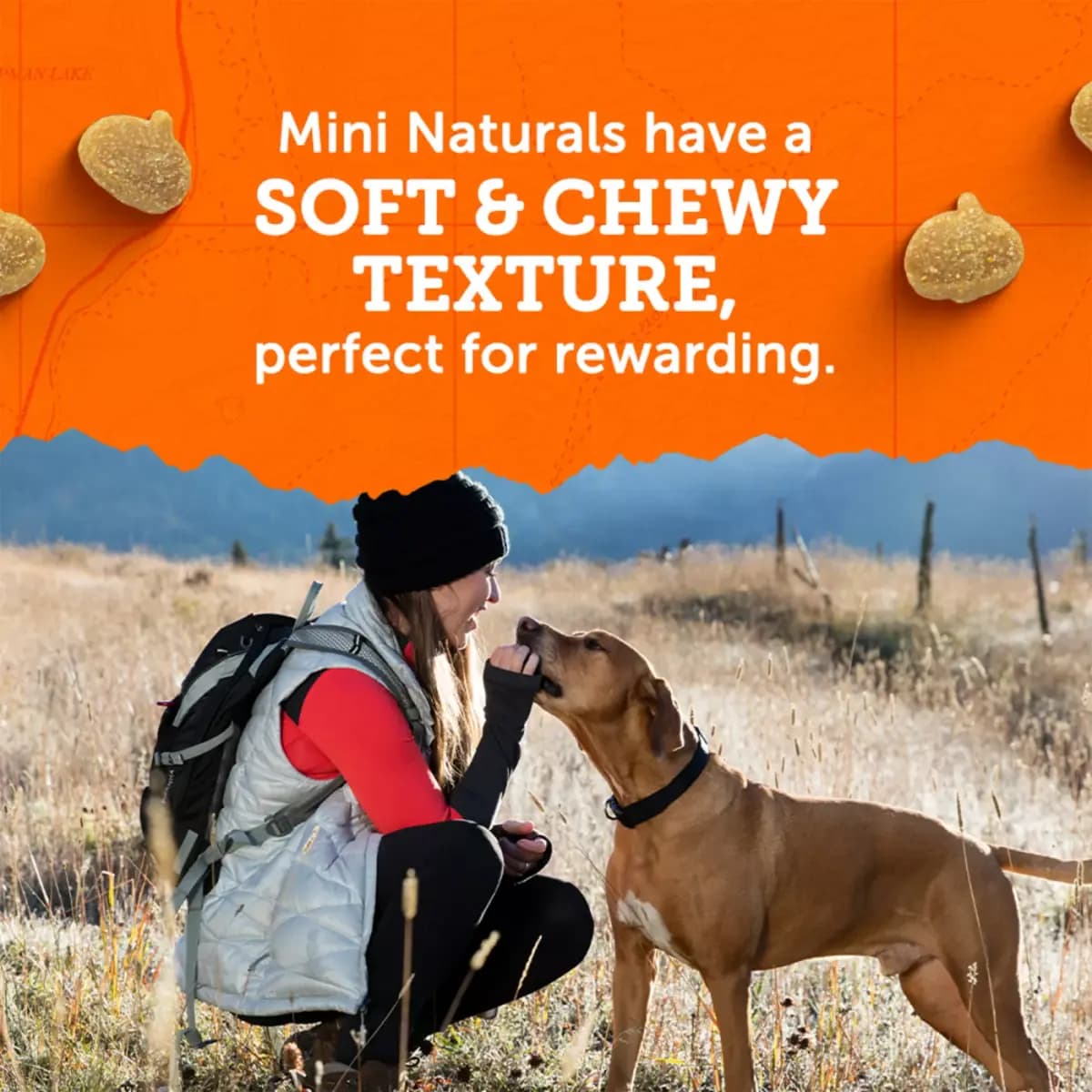 Zuke's Mini Naturals With Added Vitamins & Minerals Dog Treats - Turkey & Pumpkin Flavor 5 OZ [Species Dog, Brand Zukes Mini Naturals, Food Type Bites, Bits, Semi-Moist, Soft, Tend