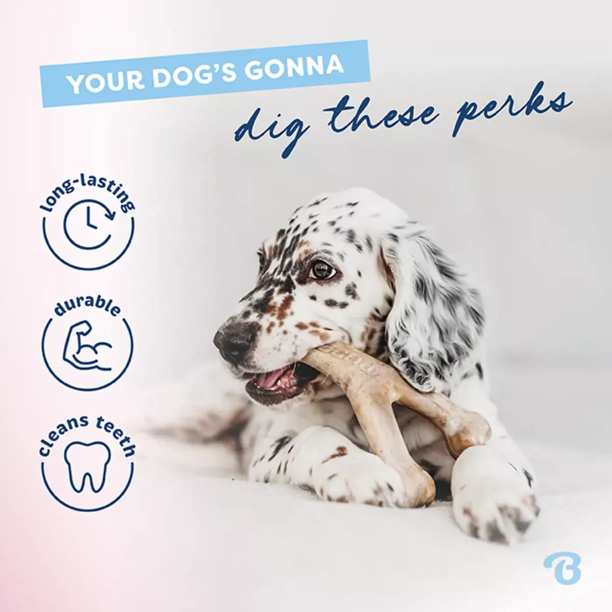 Benebones Benebone Puppy 2 Pack Chew Toys Bacon Flavor Dog Chew Toy [Description and Overview We started with the premise that dogs ex, Product Brand & Name BENEBONE PUPPY 2PK DENT