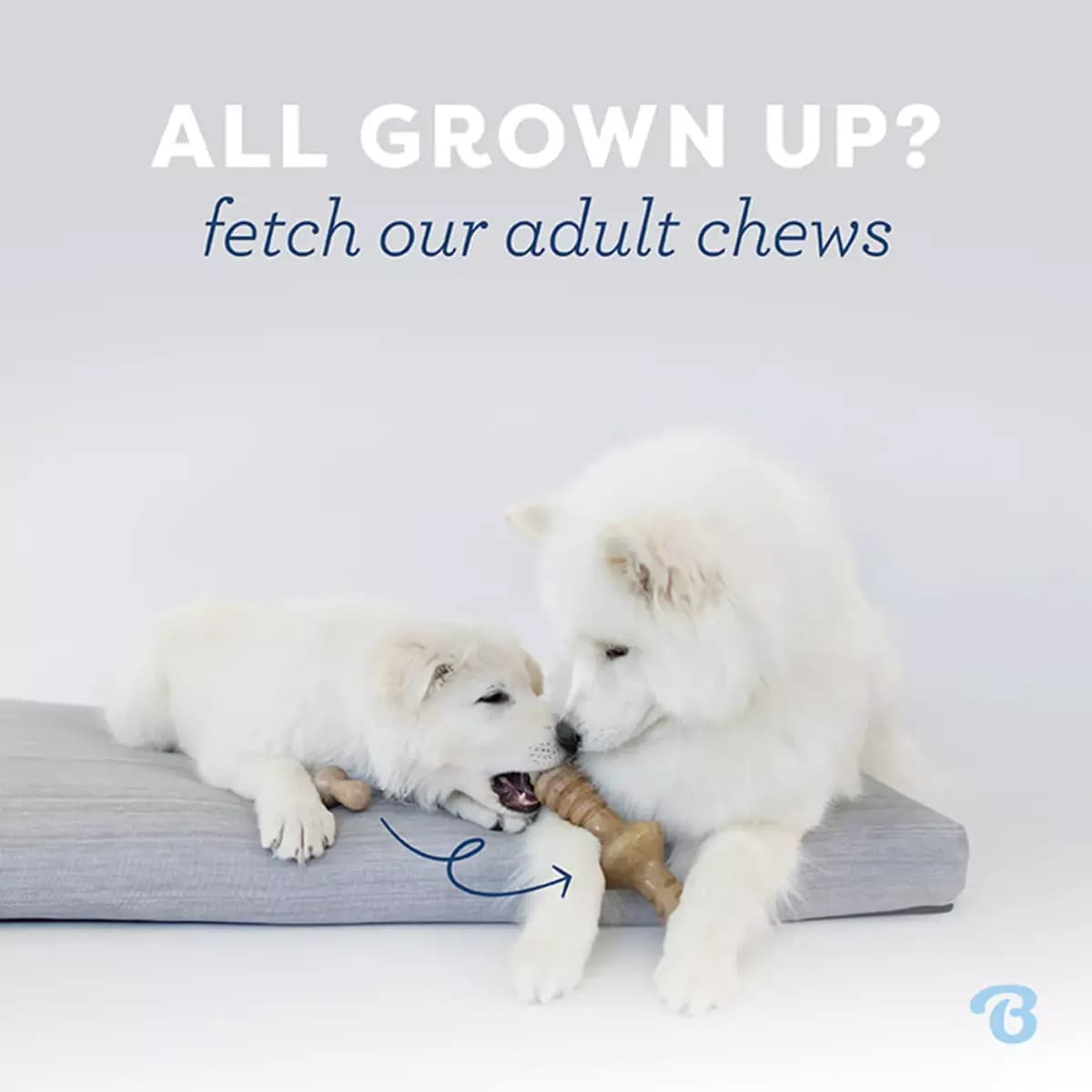Benebones Benebone Puppy 2 Pack Chew Toys Bacon Flavor Dog Chew Toy [Description and Overview We started with the premise that dogs ex, Product Brand & Name BENEBONE PUPPY 2PK DENT