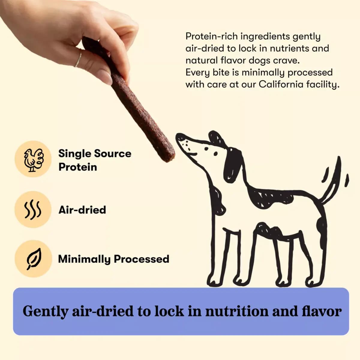 Plato Pet Treats Plato Air-Dried Fall Harvest Meat Sticks, Dog Treats - Chicken & Pumpkin Flavor 5 OZ [Features & Benefits Made with high–quality USA chicken and t, Species Dog, Br