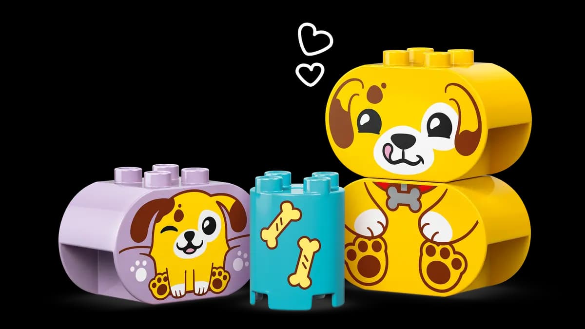 LEGO Shape Sorter: Puppy House 10441 [17 pieces, ages 1ÃƒÆ’Ã†â€™ÃƒÂ¢Ã¢â€šÂ¬Ã…Â¡ÃƒÆ’Ã¢â‚¬Å¡Ãƒâ€šÃ‚Â½+, DUPLOÃƒÆ’Ã†â€™ÃƒÂ¢Ã¢â€šÂ¬Ã…Â¡ÃƒÆ’Ã¢â‚¬Å¡Ãƒâ€šÃ‚Â®]