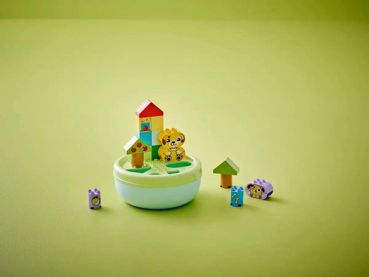 LEGO Shape Sorter: Puppy House 10441 [17 pieces, ages 1ÃƒÆ’Ã†â€™ÃƒÂ¢Ã¢â€šÂ¬Ã…Â¡ÃƒÆ’Ã¢â‚¬Å¡Ãƒâ€šÃ‚Â½+, DUPLOÃƒÆ’Ã†â€™ÃƒÂ¢Ã¢â€šÂ¬Ã…Â¡ÃƒÆ’Ã¢â‚¬Å¡Ãƒâ€šÃ‚Â®]